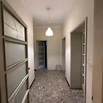 Solferino 17 Stazione Penzion